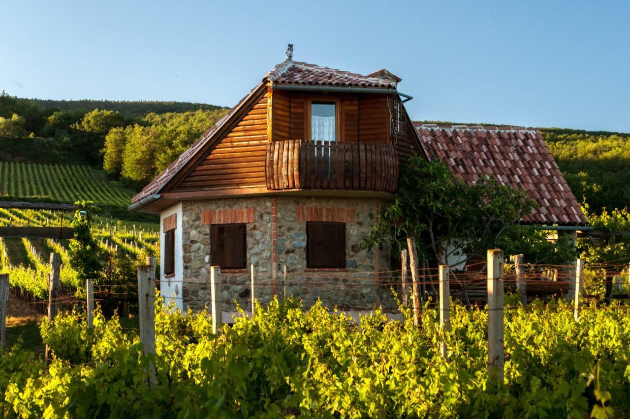 Robinson Vila Kitokret Kutjevo Exterior foto
